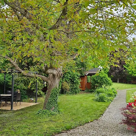 Apartman Ferienobjekt Beim Steinmetzen Radebeul